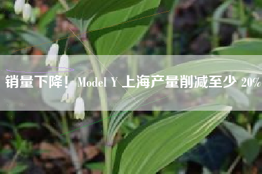 销量下降！Model Y 上海产量削减至少 20%