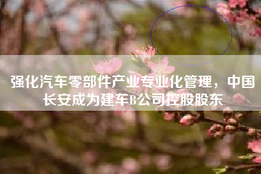 强化汽车零部件产业专业化管理，中国长安成为建车B公司控股股东