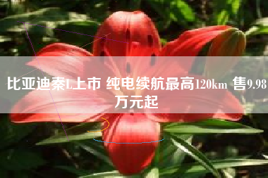 比亚迪秦L上市 纯电续航最高120km 售9.98万元起