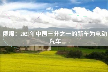 俄媒：2023年中国三分之一的新车为电动汽车