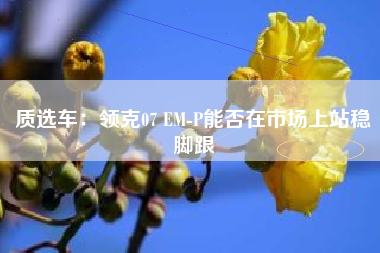 质选车：领克07 EM-P能否在市场上站稳脚跟