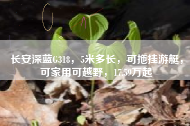 长安深蓝G318，5米多长，可拖挂游艇，可家用可越野，17.59万起