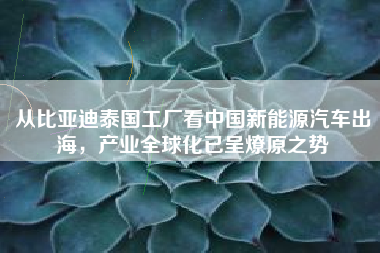 从比亚迪泰国工厂看中国新能源汽车出海，产业全球化已呈燎原之势