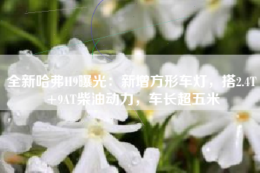 全新哈弗H9曝光：新增方形车灯，搭2.4T+9AT柴油动力，车长超五米