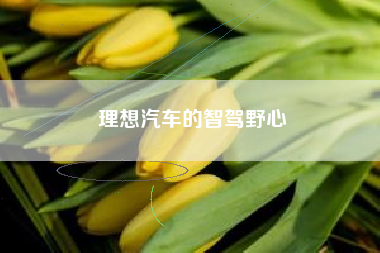 理想汽车的智驾野心