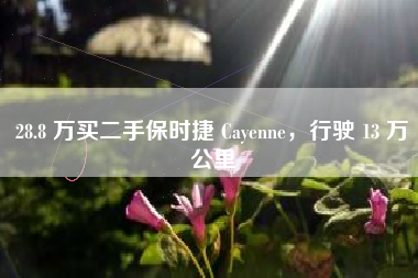 28.8 万买二手保时捷 Cayenne，行驶 13 万公里