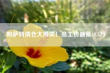 帕萨特清仓大甩卖！员工价最低10.5万