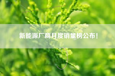 新能源厂商月度销量榜公布！