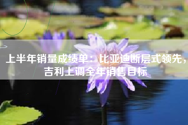 上半年销量成绩单：比亚迪断层式领先，吉利上调全年销售目标