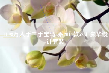 11.98万入手二手宝马5系2014款525Li豪华设计套装