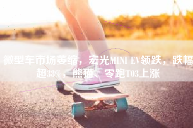 微型车市场萎缩，宏光MINI EV领跌，跌幅超38%，熊猫、零跑T03上涨