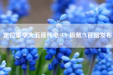 定位豪华大五座纯电SUV 极氪7X官图发布