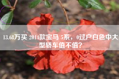 13.68万买 2014款宝马 5系，0过户白色中大型轿车值不值？
