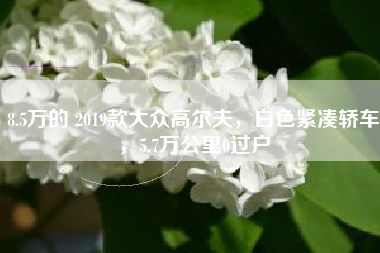 8.5万的 2019款大众高尔夫，白色紧凑轿车，5.7万公里0过户