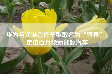 华为与江淮合作车型取名为“尊界”，定位百万级新能源汽车