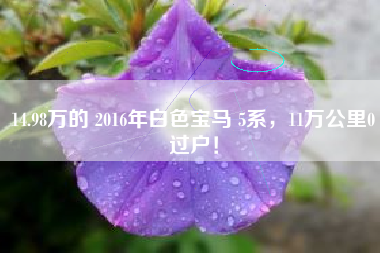14.98万的 2016年白色宝马 5系，11万公里0过户！