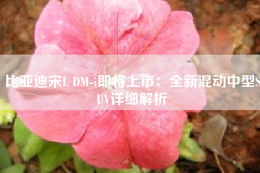 比亚迪宋L DM-i即将上市：全新混动中型SUV详细解析