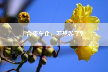 合资车企，不想卷了？