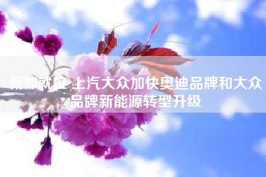 新帅就位 上汽大众加快奥迪品牌和大众品牌新能源转型升级