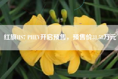 红旗HS7 PHEV开启预售，预售价31.58万元