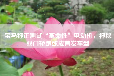 宝马称正测试“革命性”电动机，神秘双门轿跑或成首发车型