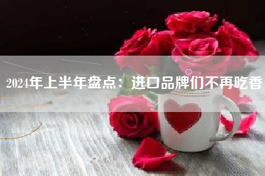 2024年上半年盘点：进口品牌们不再吃香