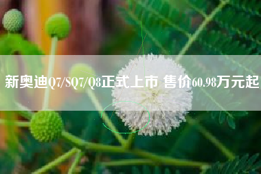 新奥迪Q7/SQ7/Q8正式上市 售价60.98万元起