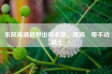 东风高端越野出师未捷，周鸿祎带不动猛士