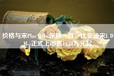 价格与宋Plus DM-i保持一致，比亚迪宋L DM-i正式上市售13.58万元起
