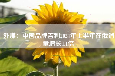 外媒：中国品牌吉利2024年上半年在俄销量增长1.1倍