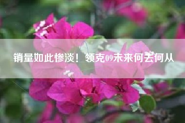 销量如此惨淡！领克09未来何去何从