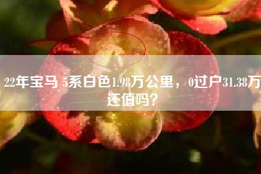 22年宝马 5系白色1.98万公里，0过户31.38万还值吗？