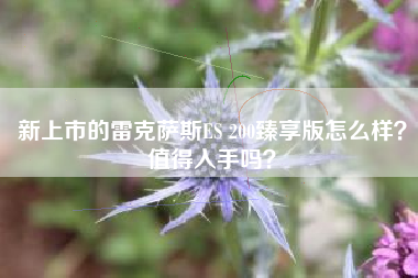 新上市的雷克萨斯ES 200臻享版怎么样？值得入手吗？