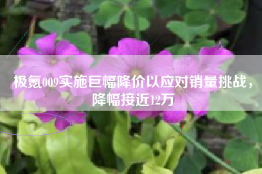 极氪009实施巨幅降价以应对销量挑战，降幅接近12万