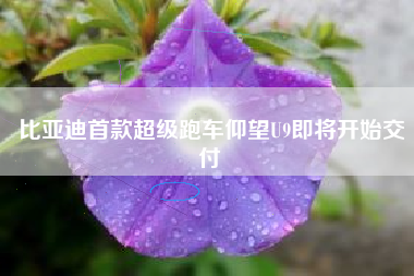 比亚迪首款超级跑车仰望U9即将开始交付