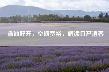 省油好开，空间宽裕，解读日产逍客