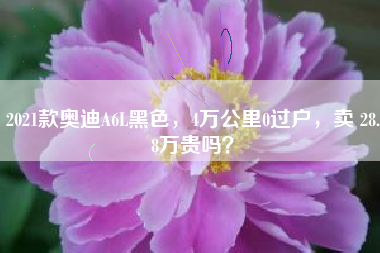 2021款奥迪A6L黑色，4万公里0过户，卖 28.8万贵吗？