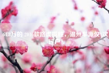 64.8万的 2016款路虎揽胜，温州车源仅1次过户！