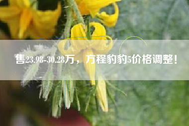 售23.98-30.28万，方程豹豹5价格调整！