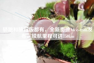 轿跑和旅行版都有，全新奥迪A6 e-tron发布，续航里程可达750km