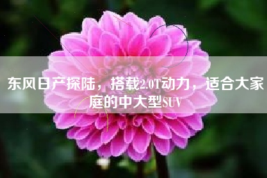 东风日产探陆，搭载2.0T动力，适合大家庭的中大型SUV