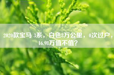 2020款宝马 3系，白色8万公里，0次过户，16.98万值不值？