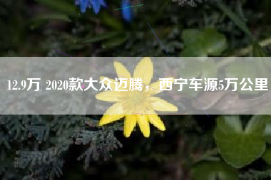 12.9万 2020款大众迈腾，西宁车源5万公里