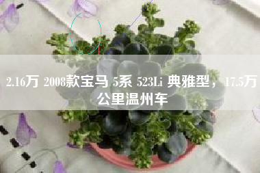 2.16万 2008款宝马 5系 523Li 典雅型，17.5万公里温州车