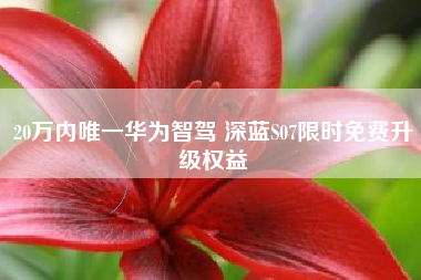 20万内唯一华为智驾 深蓝S07限时免费升级权益