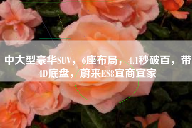 中大型豪华SUV，6座布局，4.1秒破百，带4D底盘，蔚来ES8宜商宜家
