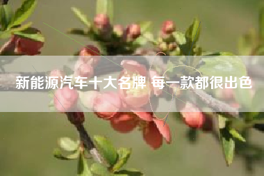 新能源汽车十大名牌 每一款都很出色