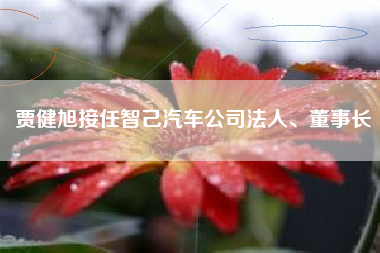 贾健旭接任智己汽车公司法人、董事长