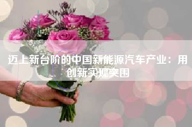 迈上新台阶的中国新能源汽车产业：用创新实现突围
