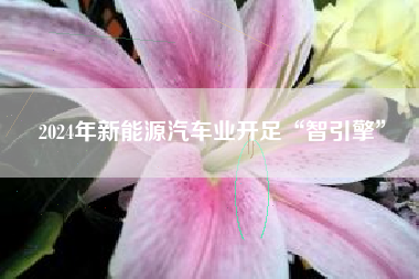 2024年新能源汽车业开足“智引擎”